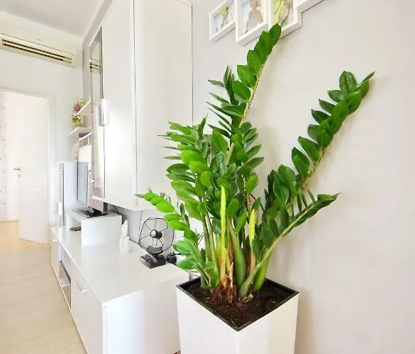 Paulin Апартаменты